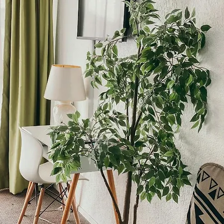 Adorable Sur La * ביאריץ